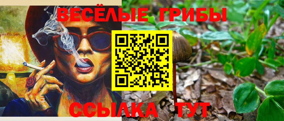 Галлюциногенные грибы Psilocybe  купить  цена  Вход с VPN  Дивногорск  Псилоцибиновые грибы MAGIC MUSHROOMS 