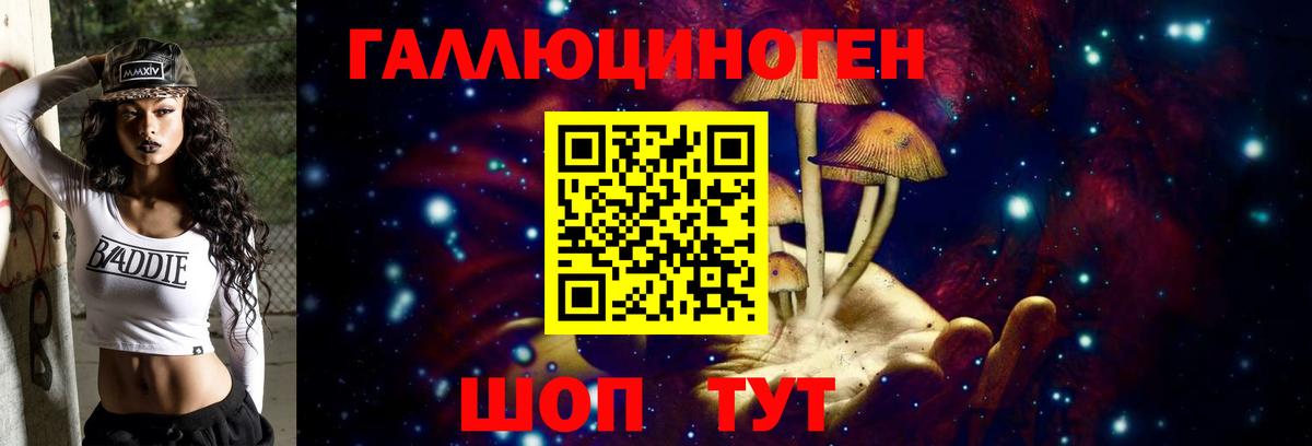 Галлюциногенные грибы Psilocybe Дивногорск